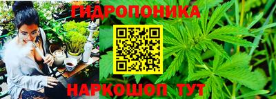 ГАЛЛЮЦИНОГЕННЫЕ ГРИБЫ Краснокаменск