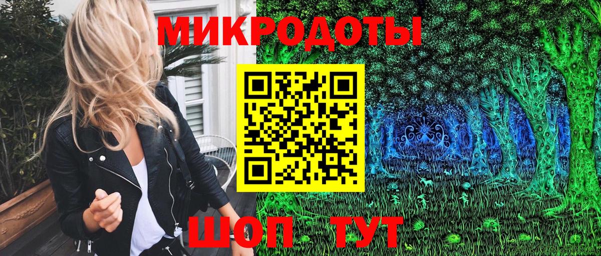 Галлюциногенные грибы Psilocybe Елизово