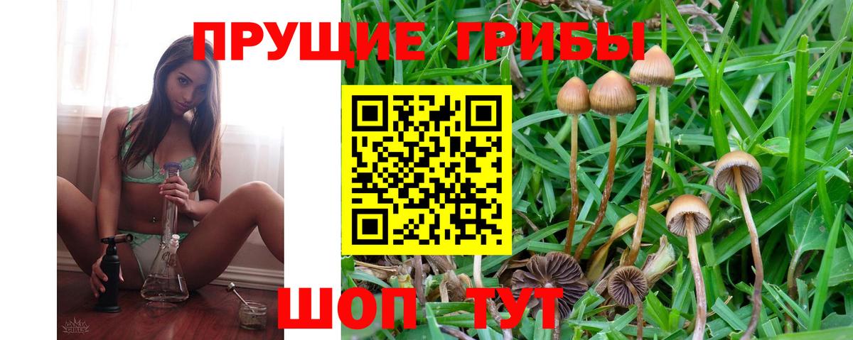 Псилоцибиновые грибы Cubensis  Вход с VPN  Елизово 